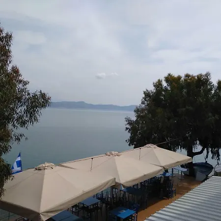 Vrachos κanari Kivérion