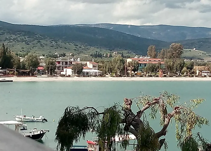 Vrachos κanari Lägenhet